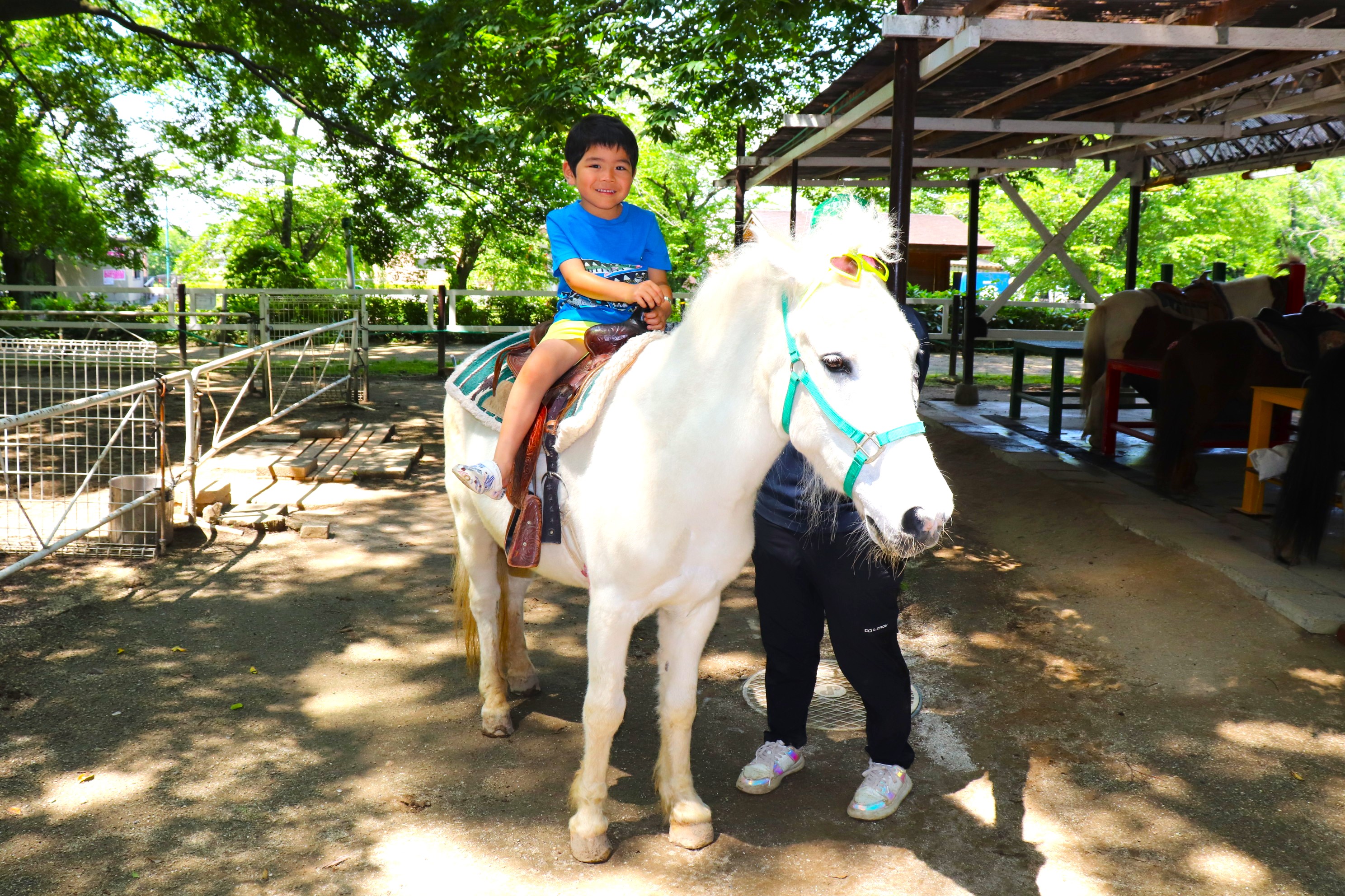 遊園地むさしの村