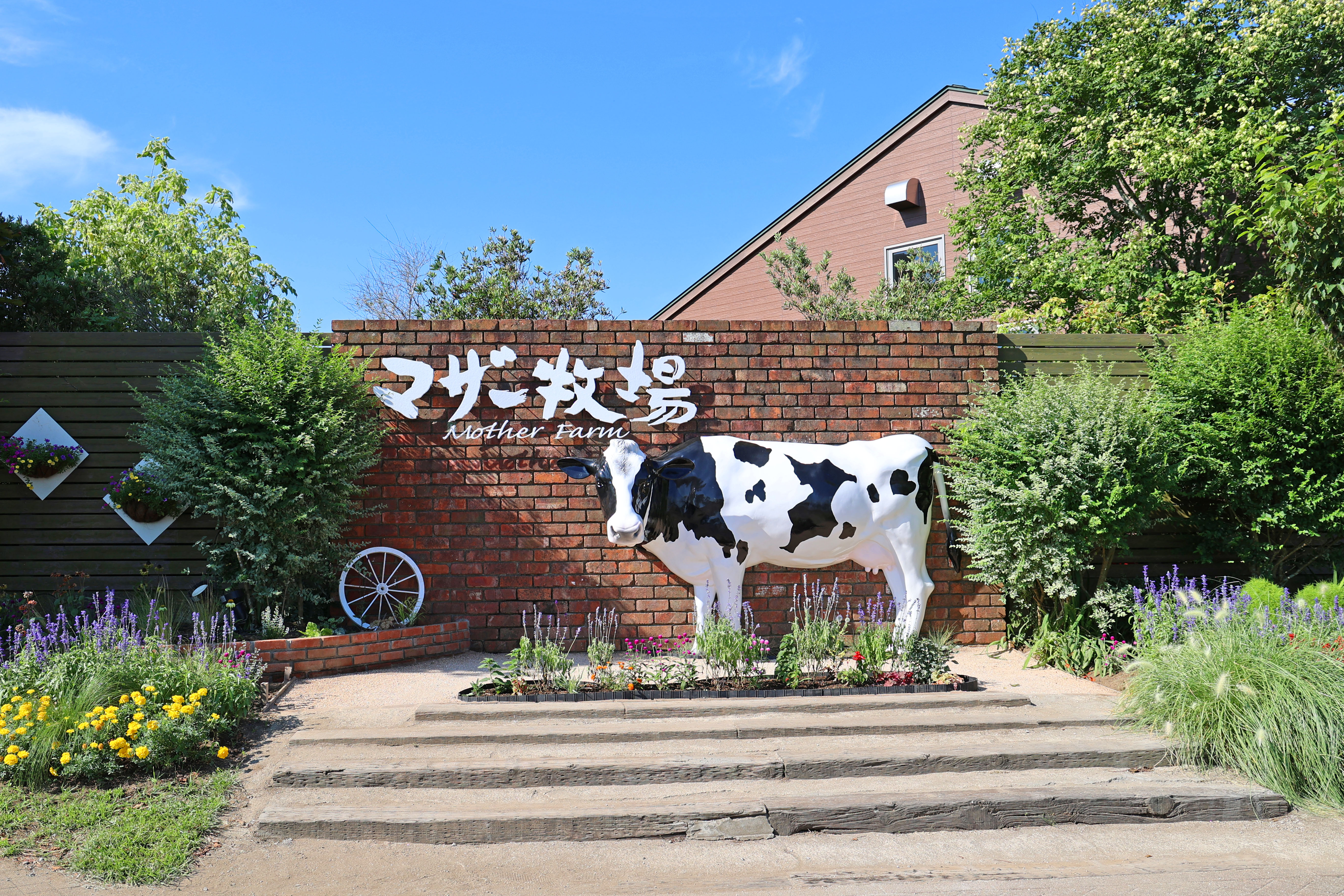 ネモフィラの花畑も見頃!GWは早朝開園「ひつじの大放牧」7日間限定開催!